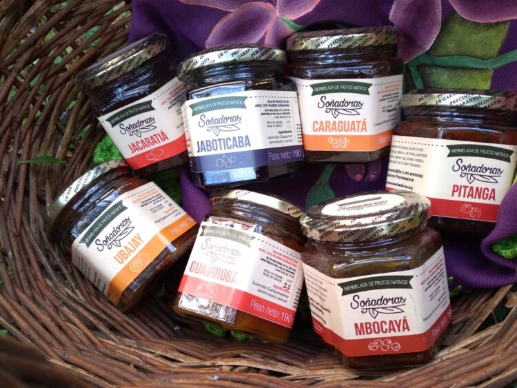 En Misiones rescatan especies nativas como la exótica Jaboticaba, un singular árbol cuyos frutos crecen pegados al tronco