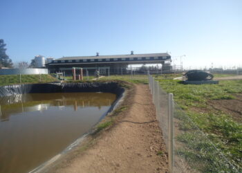 Salió la guía de Buenas Prácticas Lecheras: “Los tambos chicos son los más adecuados para implementarlas si en el futuro quieren ser grandes”, asegura Marcos Bergero