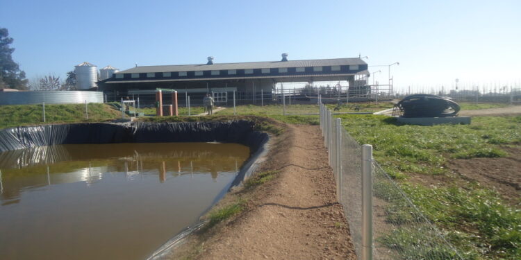 Salió la guía de Buenas Prácticas Lecheras: “Los tambos chicos son los más adecuados para implementarlas si en el futuro quieren ser grandes”, asegura Marcos Bergero
