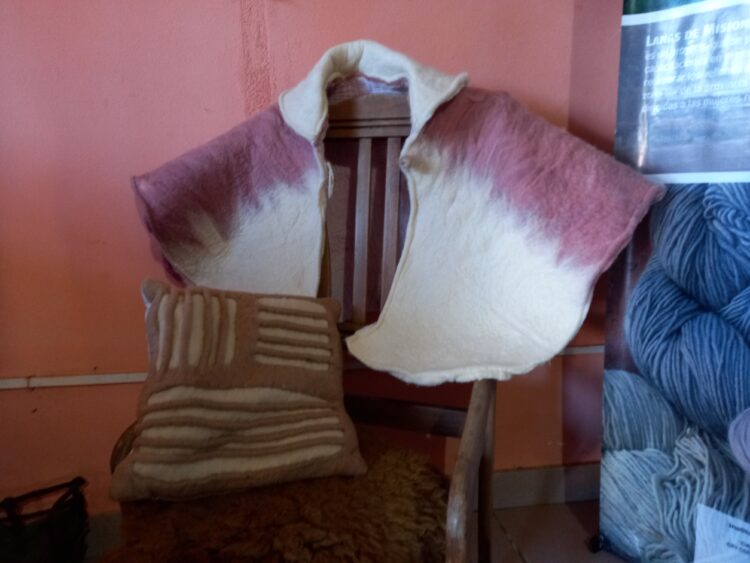 La breve pero rica historia de la cooperativa Las Laneras de Misiones: Comenzaron usando lana que antes se quemaba y acaban de obtener su matrícula