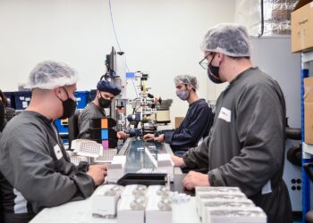 Agroempresas: Buyatti y Terragene salen al mercado de capitales en busca de financiamiento