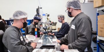 Agroempresas: Buyatti y Terragene salen al mercado de capitales en busca de financiamiento