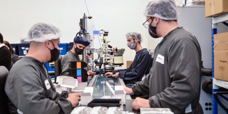 Agroempresas: Buyatti y Terragene salen al mercado de capitales en busca de financiamiento