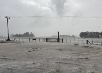 Una tormenta intensa provocó importantes destrozos en varios partidos del norte bonaerense