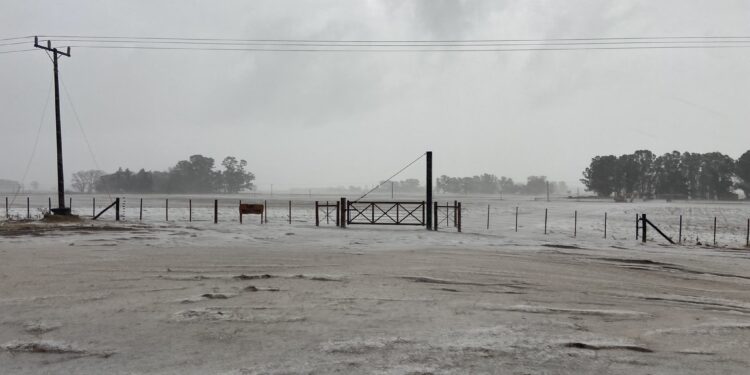 Una tormenta intensa provocó importantes destrozos en varios partidos del norte bonaerense