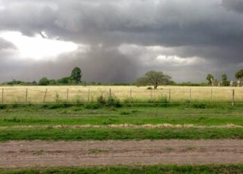 Encuesta: Se acelera la pérdida de confianza en las empresas agrícolas y ganaderas argentinas