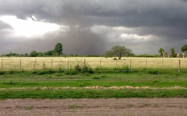 Encuesta: Se acelera la pérdida de confianza en las empresas agrícolas y ganaderas argentinas