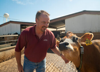 Un video explica clarito por qué el metano generado por bovinos es parte de un ciclo natural que no es equiparable con las emisiones de origen fósil