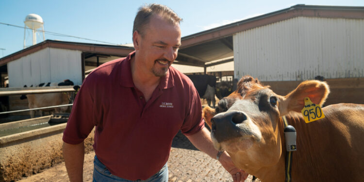 Un video explica clarito por qué el metano generado por bovinos es parte de un ciclo natural que no es equiparable con las emisiones de origen fósil