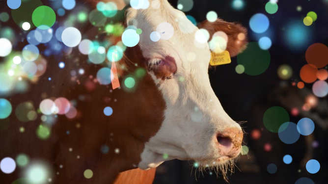 ¿Qué dice el nuevo informe de Panel Intergubernamental del Cambio Climático sobre el sector ganadero?