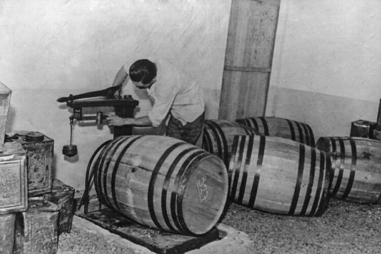 Leandro Graziano es tercera generación de apicultores y se animó a producir orgánico con 500 colmenas en La Pampa