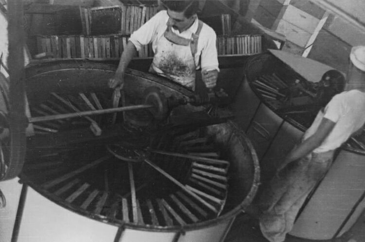 Leandro Graziano es tercera generación de apicultores y se animó a producir orgánico con 500 colmenas en La Pampa