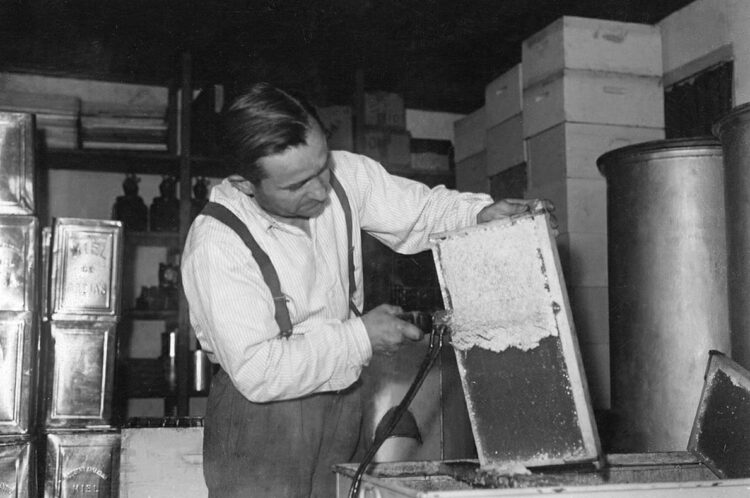 Leandro Graziano es tercera generación de apicultores y se animó a producir orgánico con 500 colmenas en La Pampa