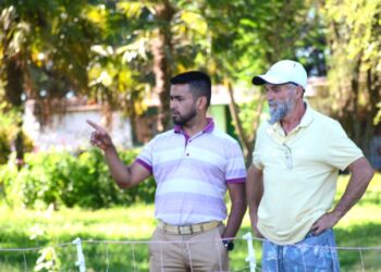 Cuestionando la idea de que toda actividad ganadera necesita de una alfalfa, el veterinario Javier Aguilar decidió aplicar un pastoreo rotativo para sus ovejas