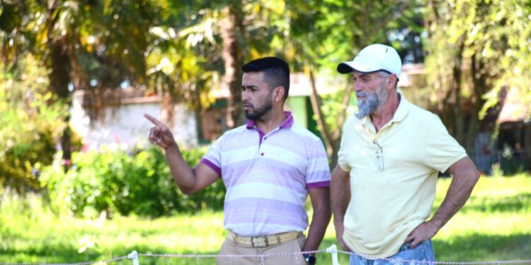 Cuestionando la idea de que toda actividad ganadera necesita de una alfalfa, el veterinario Javier Aguilar decidió aplicar un pastoreo rotativo para sus ovejas