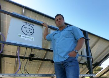 La Rosalía es un establecimiento lechero que lo tiene todo: certificaciones de bienestar animal, energía solar y ahora busca ser el primer tambo carbono neutro