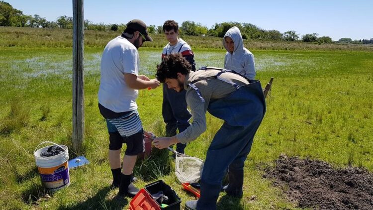 El biólogo Felipe Alonso trabaja para la conservación de los pequeños peces killis: Cualquiera puede convivir con ellos en el campo