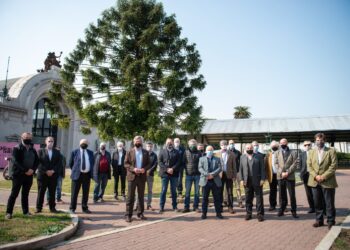 “Perdimos todos”: La proclama de toda la cadena cárnica para pedirle a Alberto Fernández que levante el cepo exportador