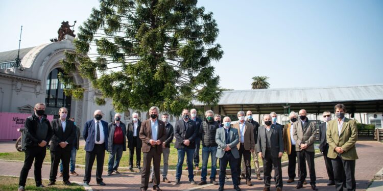 “Perdimos todos”: La proclama de toda la cadena cárnica para pedirle a Alberto Fernández que levante el cepo exportador