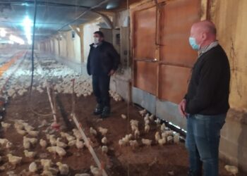 “Si la avicultura quiere crecer no le queda otro camino que exportar, el mercado interno está saturado”, afirmó el productor José Luis Birador