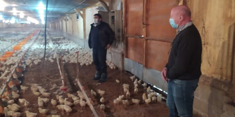“Si la avicultura quiere crecer no le queda otro camino que exportar, el mercado interno está saturado”, afirmó el productor José Luis Birador