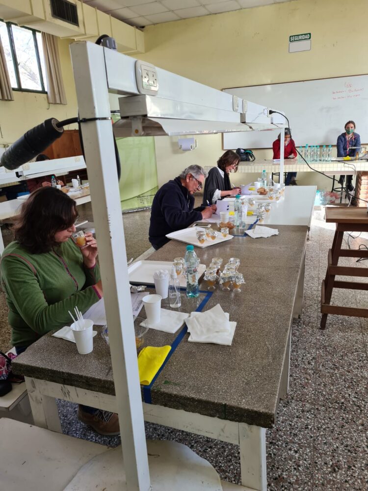 Finalizó el primer concurso de Mieles Pampeanas 2021: ¿Qué se busca premiar en este tipo de certámenes?