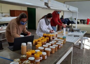 Finalizó el primer concurso de Mieles Pampeanas 2021: ¿Qué se busca premiar en este tipo de certámenes?