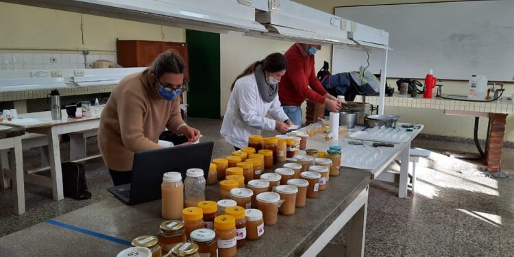 Finalizó el primer concurso de Mieles Pampeanas 2021: ¿Qué se busca premiar en este tipo de certámenes?