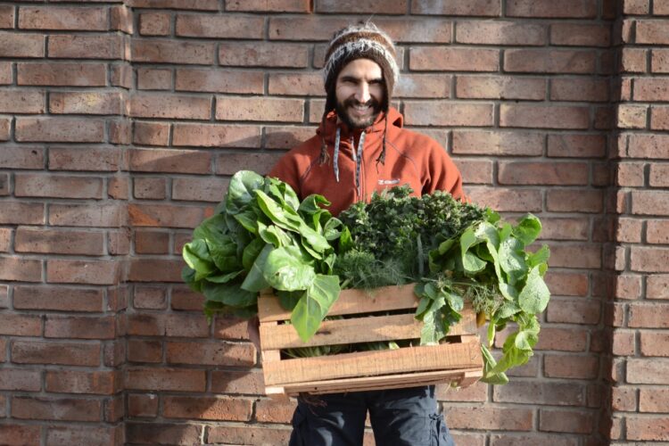 “La idea es que las alacenas vuelvan a estar llenas de alimentos genuinos”, dice Julio Hernández, que enseña a buscarlos en el monte y las ciudades