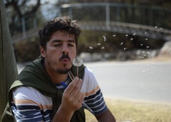 “La idea es que las alacenas vuelvan a estar llenas de alimentos genuinos”, dice Julio Hernández, que enseña a buscarlos en el monte y las ciudades