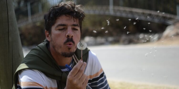 “La idea es que las alacenas vuelvan a estar llenas de alimentos genuinos”, dice Julio Hernández, que enseña a buscarlos en el monte y las ciudades