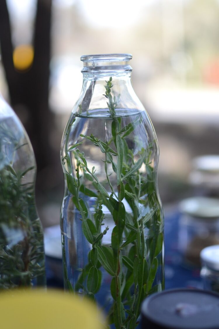 “La idea es que las alacenas vuelvan a estar llenas de alimentos genuinos”, dice Julio Hernández, que enseña a buscarlos en el monte y las ciudades