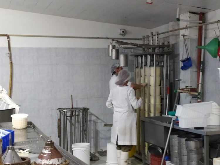 ¿Cómo sobrevive un tambo de 3.500 litros? Rosario López Seco cree que solo puede hacerlo agregando valor y por eso se puso a producir quesos agroecológicos