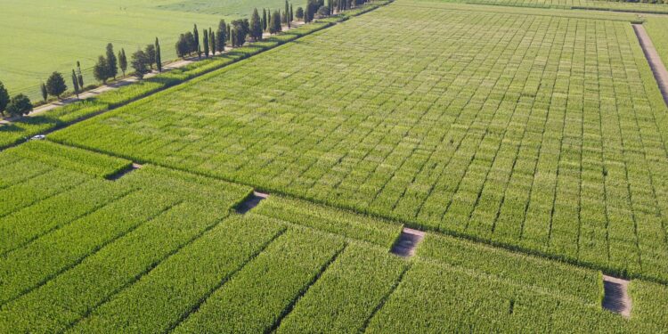 Cada ambiente tiene lo suyo: La aplicación de agricultura digital de ACA ya cuenta con más de 2200 usuarios activos