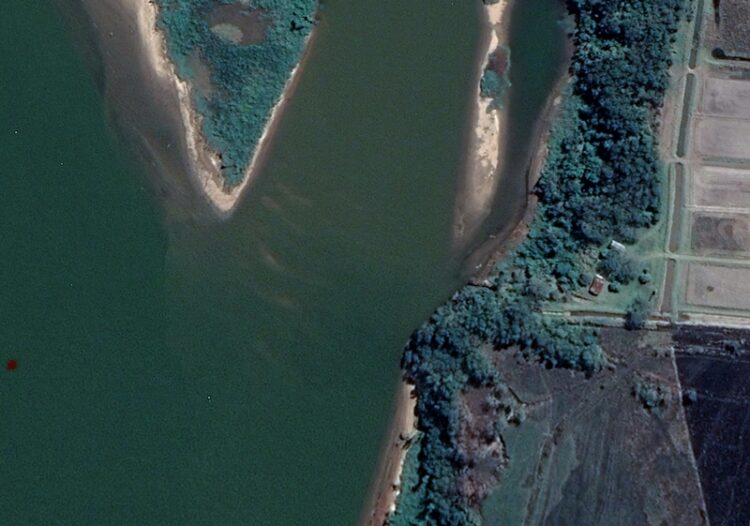 El INTA lanzó un alerta sobre el arroz: La bajante del Paraná podría achicar la superficie de siembra