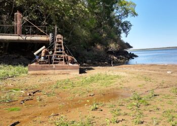 El INTA lanzó un alerta sobre el arroz: La bajante del Paraná podría achicar la superficie de siembra