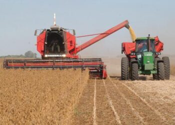 “Cuando la cosecha es flaca, la variable de ajuste es el contratista”, se lamenta José Turino, tercera generación de cosecheros en Santa Fe