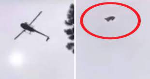 Se desplomaron los cerdos: En julio las exportaciones cayeron fuerte hasta sus niveles más bajos en dos años