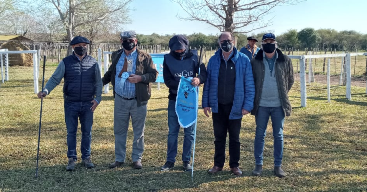 Los toros sin bozal ni tapabocas: Luego de un año y medio de pandemia regresan las exposiciones rurales y los remates de hacienda con público