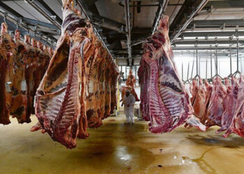 Por el cepo impuesto por la Argentina a sus propios envíos, suben los precios de la carne exportada a China