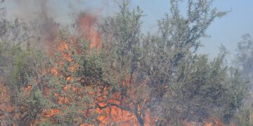 Argentina inflamable: El INTA calcula que 60% del territorio es árido e invita a los incendios, por eso diseñó un modelo para medir los daños