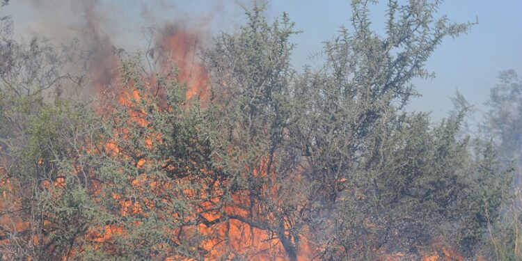 Argentina inflamable: El INTA calcula que 60% del territorio es árido e invita a los incendios, por eso diseñó un modelo para medir los daños
