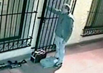 Con el cierre de las exportaciones de carne se perdieron 8 millones de dólares por día, o casi tanto como la plata que José López intentó esconder en un convento