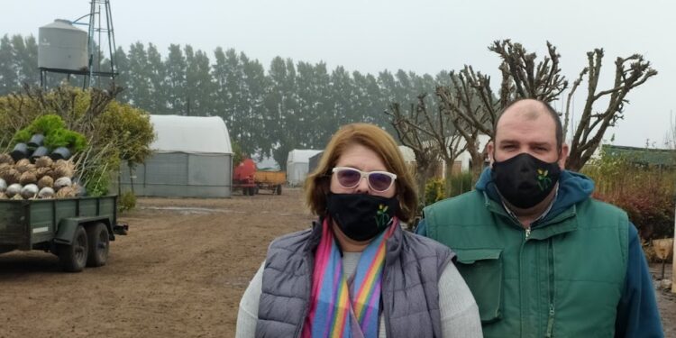 Karina y Daniel mantienen viva la tradición viverista en San Pedro, pero la falta de personal les pone un techo: “Tuvimos que achicar 50% la producción a campo”