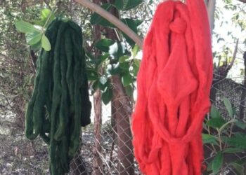 La breve pero rica historia de la cooperativa Las Laneras de Misiones: Comenzaron usando lana que antes se quemaba y acaban de obtener su matrícula