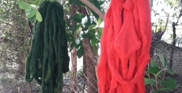 La breve pero rica historia de la cooperativa Las Laneras de Misiones: Comenzaron usando lana que antes se quemaba y acaban de obtener su matrícula