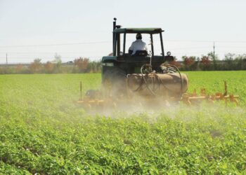El Senasa decidió sacar de circulación otro insecticida peligroso para las abejas: El Fipronil deberá dejar de venderse en seis meses