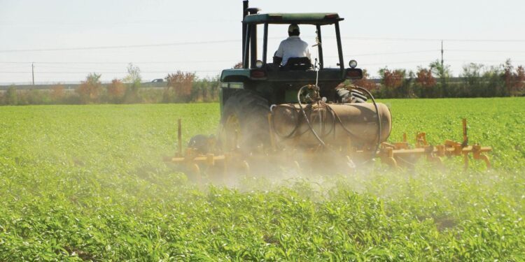 El Senasa decidió sacar de circulación otro insecticida peligroso para las abejas: El Fipronil deberá dejar de venderse en seis meses