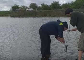 Nuevo frente de conflicto por los agroquímicos en Lobos: Vecinos denuncian la presencia de sustancias químicas en el agua potable e interviene la justicia