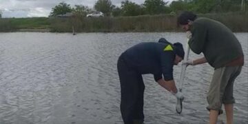 Nuevo frente de conflicto por los agroquímicos en Lobos: Vecinos denuncian la presencia de sustancias químicas en el agua potable e interviene la justicia